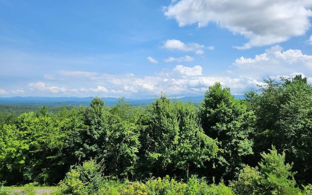 Listing photo 3 for 0 Lookout Dr, Blue Ridge GA 30513