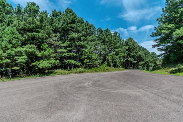 LOT26 Foxpaw Leaf Ln, Ellijay GA, 30536 land for sale