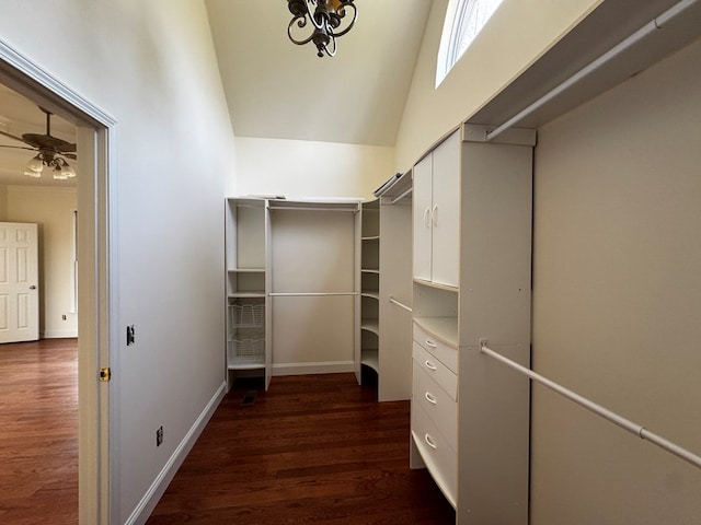 spacious closet with a ceiling fan and dark wood-style flooring