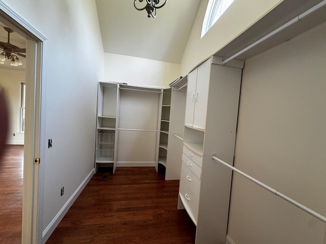 walk in closet featuring a ceiling fan and dark wood-style flooring