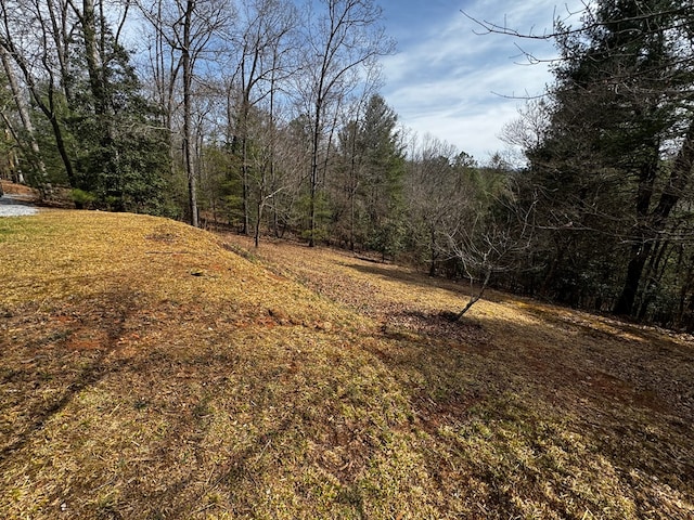 view of nature featuring a wooded view