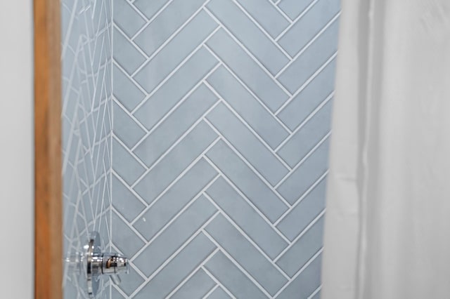 interior details featuring walk in shower