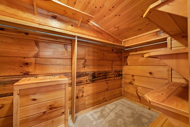 walk in closet with vaulted ceiling