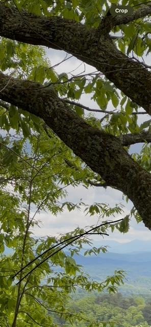 16AC Campbell Cove Crk, Turtletown, TN 37391