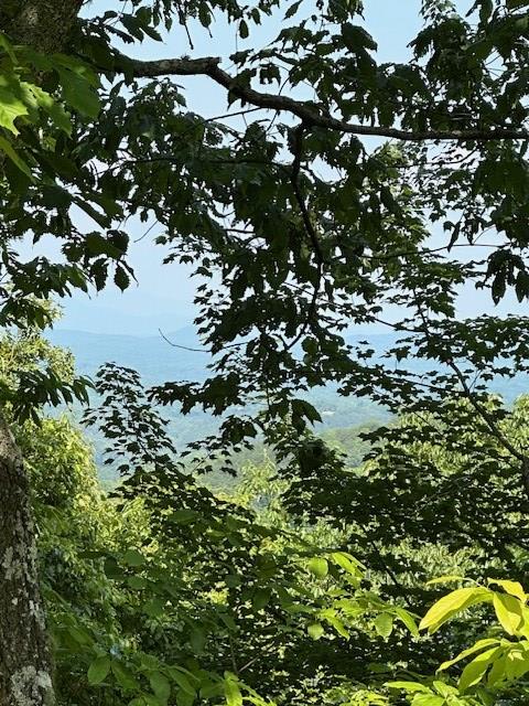 16AC Campbell Cove Crk, Turtletown, TN 37391