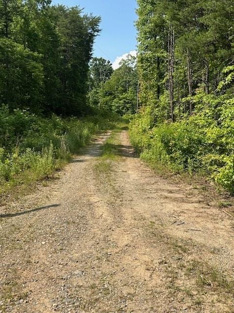 16AC Campbell Cove Crk, Turtletown, TN 37391