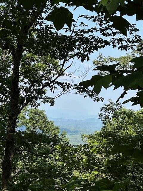 16AC Campbell Cove Crk, Turtletown, TN 37391