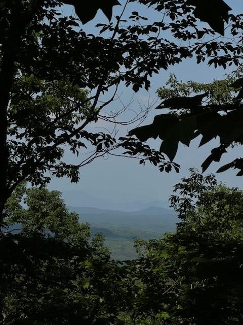 16AC Campbell Cove Crk, Turtletown, TN 37391