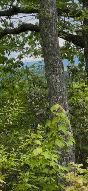 16AC Campbell Cove Crk, Turtletown, TN 37391