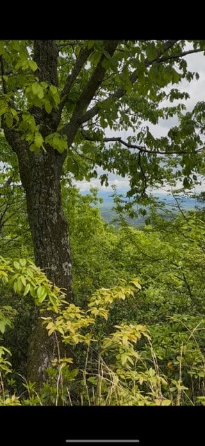 16AC Campbell Cove Crk, Turtletown, TN 37391