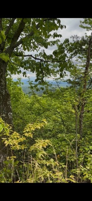 16AC Campbell Cove Crk, Turtletown, TN 37391
