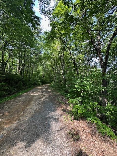 16AC Campbell Cove Crk, Turtletown, TN 37391