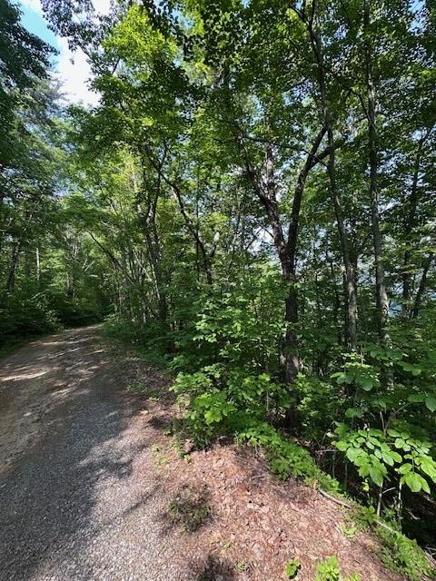 16AC Campbell Cove Crk, Turtletown, TN 37391