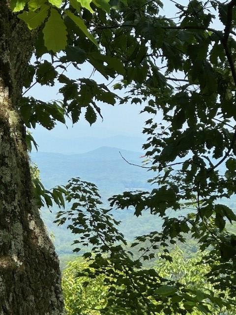 16AC Campbell Cove Crk, Turtletown, TN 37391