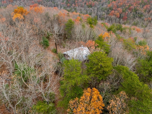 198 Hollow Log Trl, Ellijay, GA 30536 - bird's eye view of a heavily wooded area
