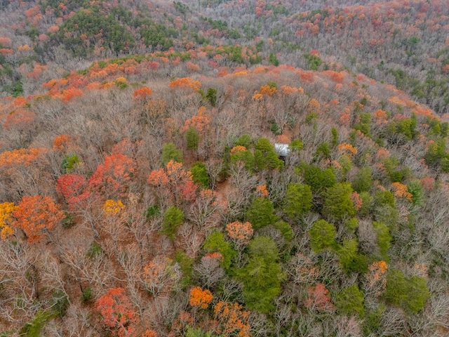 198 Hollow Log Trl, Ellijay, GA 30536 - bird's eye view of a forest