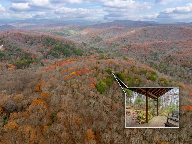 198 Hollow Log Trl, Ellijay, GA 30536 - drone / aerial view of a forest and a mountainous background