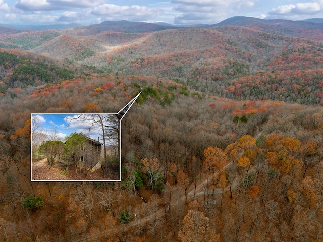 198 Hollow Log Trl, Ellijay, GA 30536 - aerial view of property and surrounding area with property boundaries highlighted, a forest, and a mountain backdrop