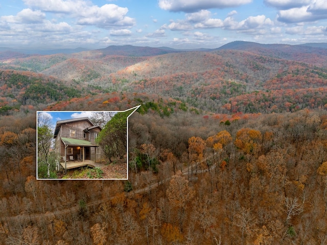 198 Hollow Log Trl, Ellijay, GA 30536 - view from above of property featuring property boundaries highlighted, a forest, and mountains
