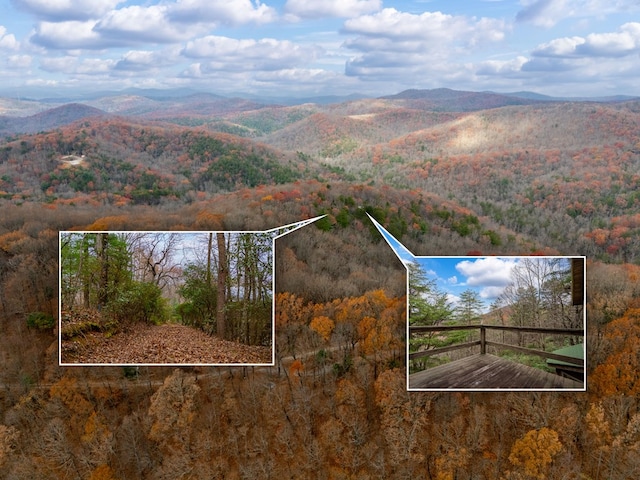 198 Hollow Log Trl, Ellijay, GA 30536 - aerial overview of property's location with property boundaries highlighted, mountains, and a heavily wooded area