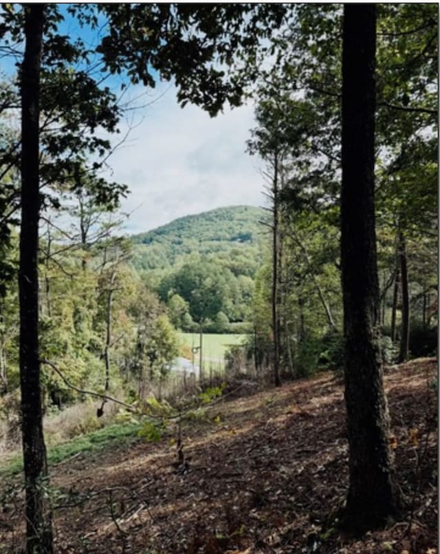 view of mountain feature with a wooded view