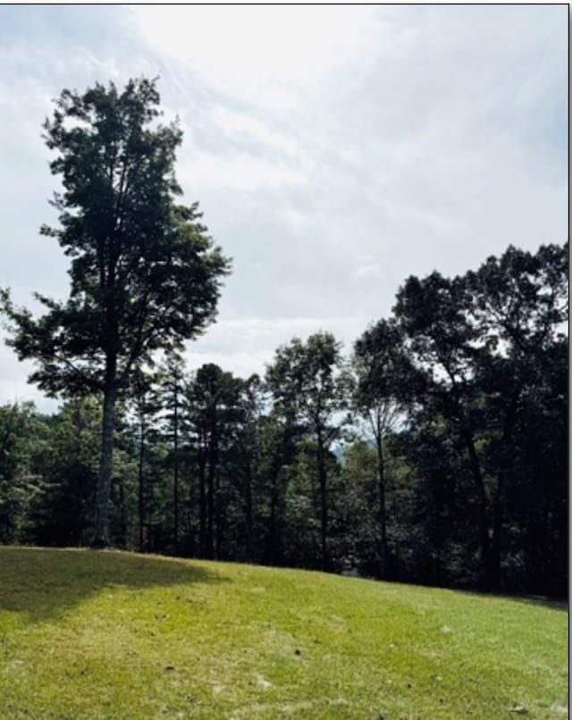 view of local wilderness with a wooded view