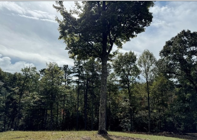 view of nature with a wooded view