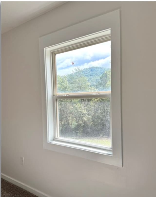 room details with baseboards and carpet flooring