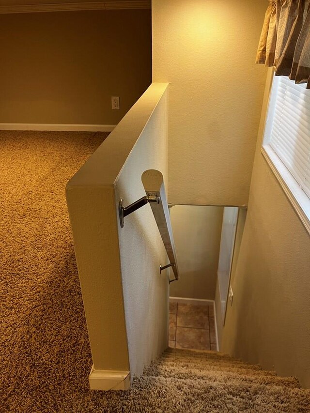 96 Stag Leap Dr, Cleveland, GA 30528 - stairway with carpet flooring