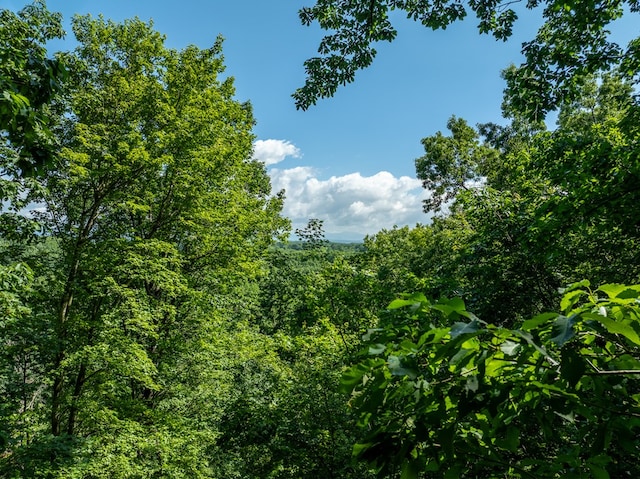 3.65AC Emory Stephens Rd, Murrayville, GA 30564