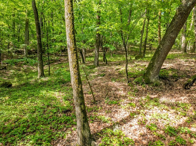 3.65AC Emory Stephens Rd, Murrayville, GA 30564