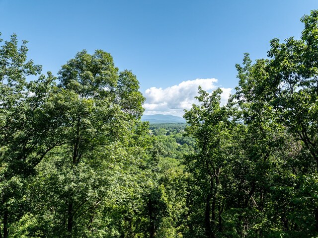 3.65AC Emory Stephens Rd, Murrayville, GA 30564