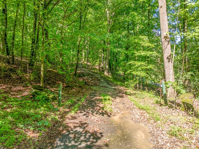 3.65AC Emory Stephens Rd, Murrayville, GA 30564