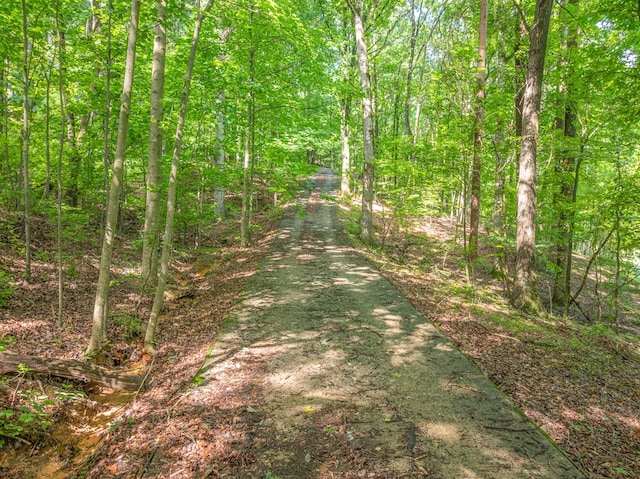 3.65AC Emory Stephens Rd, Murrayville, GA 30564