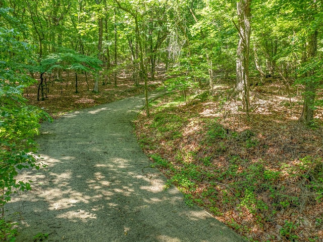 3.65AC Emory Stephens Rd, Murrayville, GA 30564
