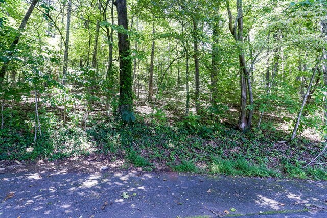 Listing photo 3 for LOT6 Kilpatrick Point Ln, Hayesville NC 28904