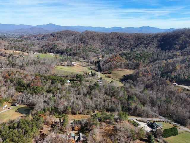 Lot1 Wildwood, Hayesville, NC 28904