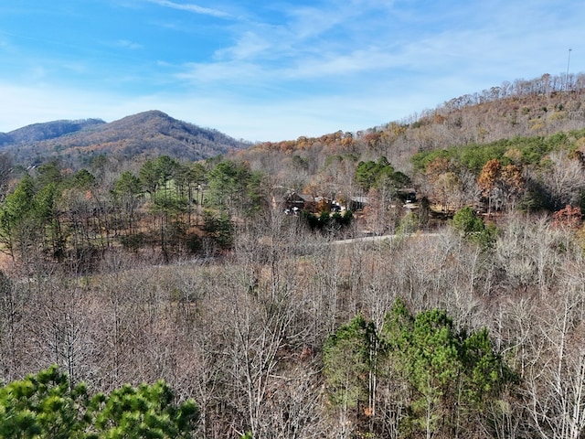 Lot1 Wildwood, Hayesville, NC 28904