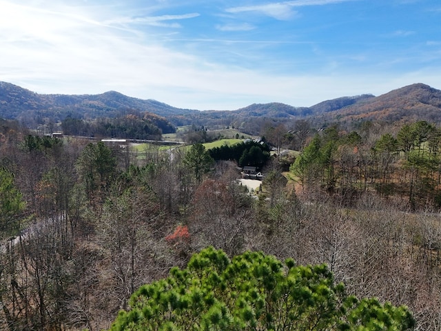 Lot1 Wildwood, Hayesville, NC 28904