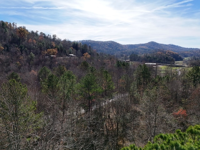 Lot1 Wildwood, Hayesville, NC 28904