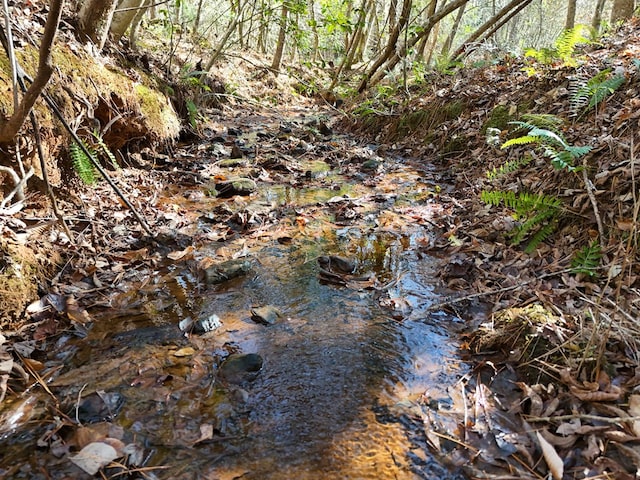 Lot1 Wildwood, Hayesville, NC 28904
