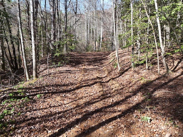 Lot1 Wildwood, Hayesville, NC 28904