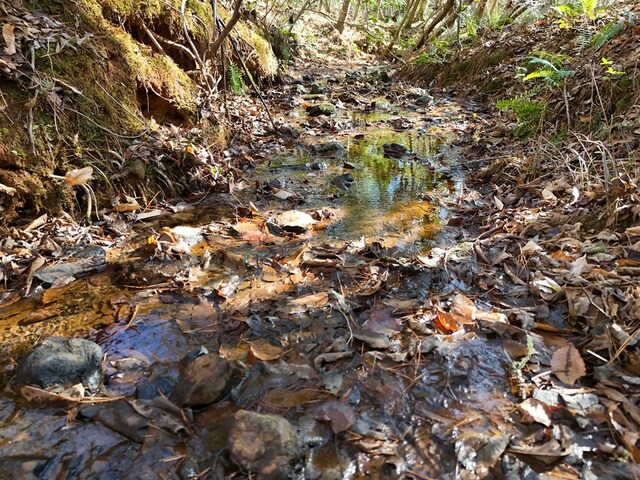 Lot1 Wildwood, Hayesville, NC 28904