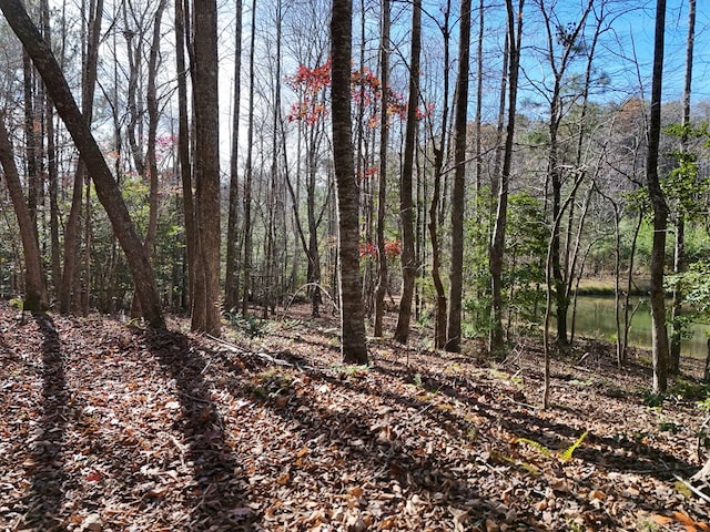 Lot1 Wildwood, Hayesville, NC 28904