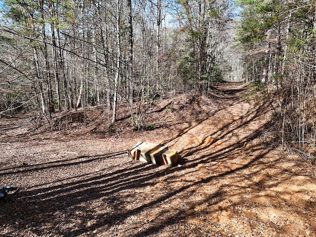 Lot1 Wildwood, Hayesville, NC 28904
