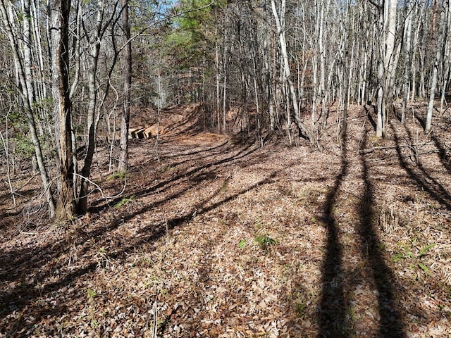 Lot1 Wildwood, Hayesville, NC 28904