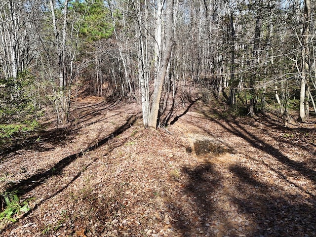 Lot1 Wildwood, Hayesville, NC 28904