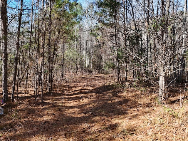 Lot1 Wildwood, Hayesville, NC 28904