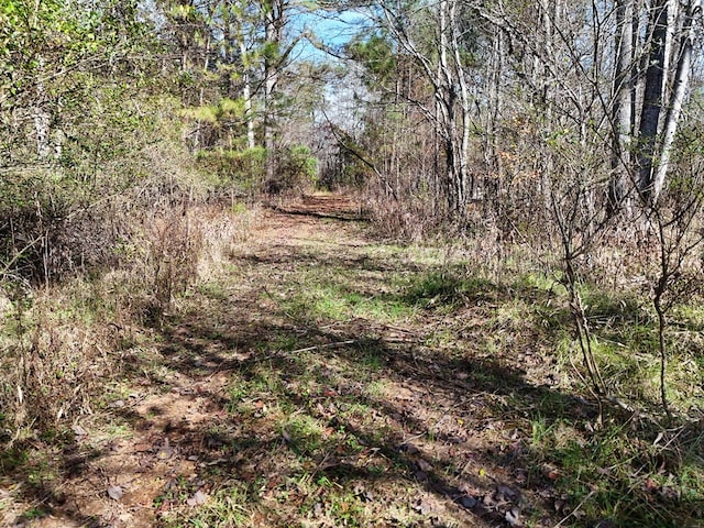 Lot1 Wildwood, Hayesville, NC 28904
