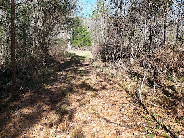 Lot1 Wildwood, Hayesville, NC 28904